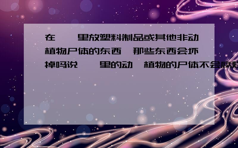 在琥珀里放塑料制品或其他非动植物尸体的东西,那些东西会坏掉吗说琥珀里的动、植物的尸体不会腐烂.那在琥珀里放塑料制品,塑料制品会坏掉吗,或者是其他非动、植物的尸体