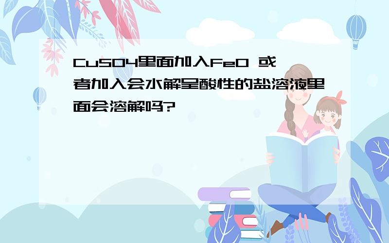 CuSO4里面加入FeO 或者加入会水解呈酸性的盐溶液里面会溶解吗?