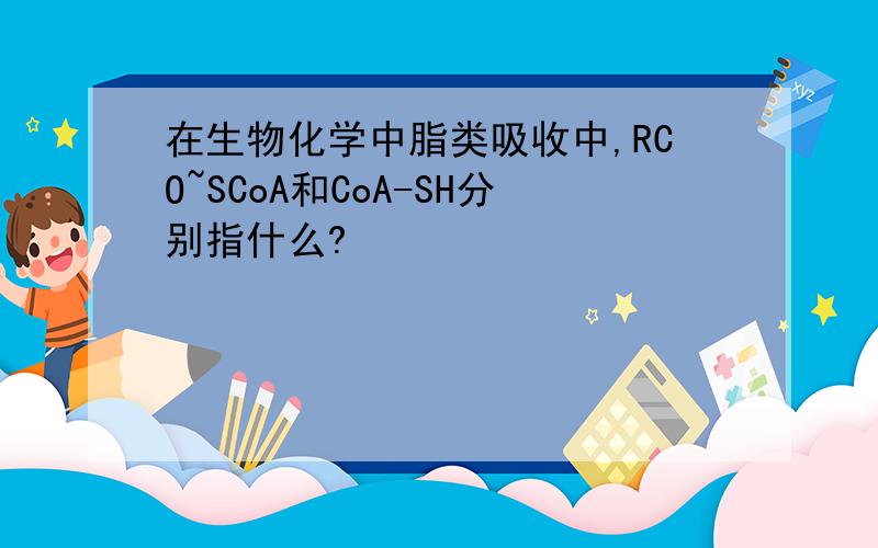 在生物化学中脂类吸收中,RCO~SCoA和CoA-SH分别指什么?