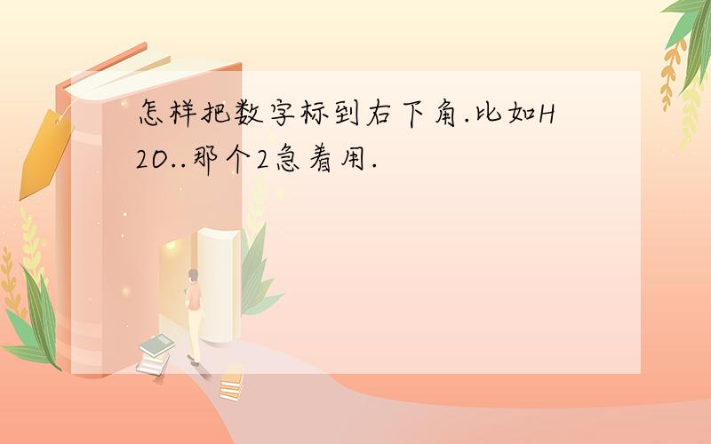 怎样把数字标到右下角.比如H2O..那个2急着用.