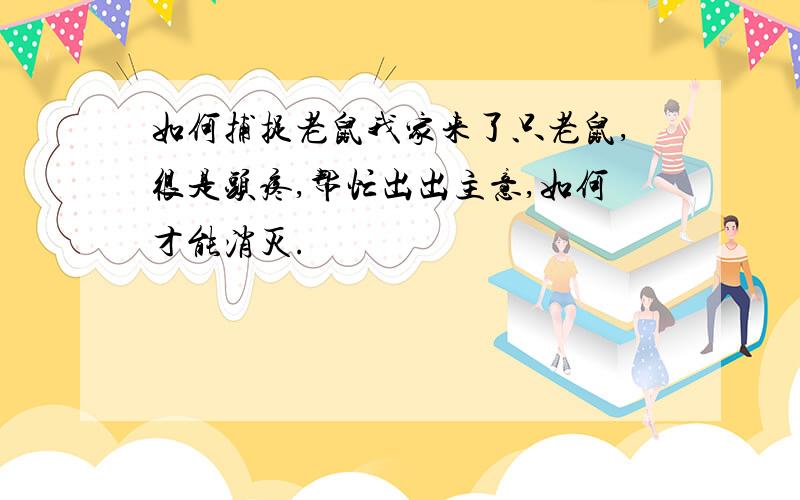 如何捕捉老鼠我家来了只老鼠,很是头疼,帮忙出出主意,如何才能消灭.