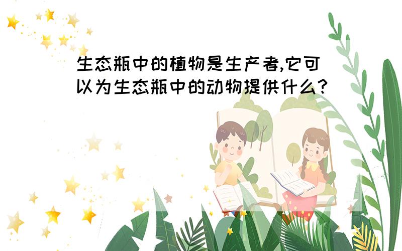 生态瓶中的植物是生产者,它可以为生态瓶中的动物提供什么?