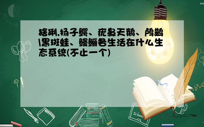 猞猁,扬子鳄、疣鼻天鹅、鸬鹚\黑斑蛙、鳗鲡各生活在什么生态系统(不止一个)