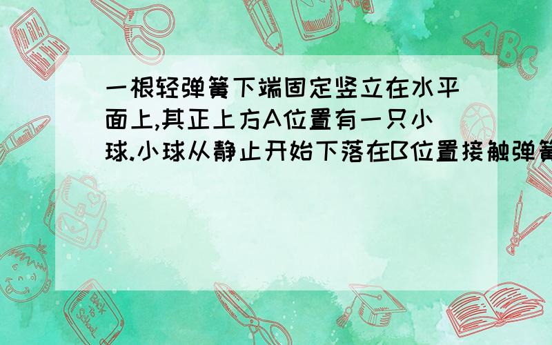 一根轻弹簧下端固定竖立在水平面上,其正上方A位置有一只小球.小球从静止开始下落在B位置接触弹簧的上端在C位置小球所受弹力大小等于重力,在D位置小球速度减小到零.小球下降阶段下列