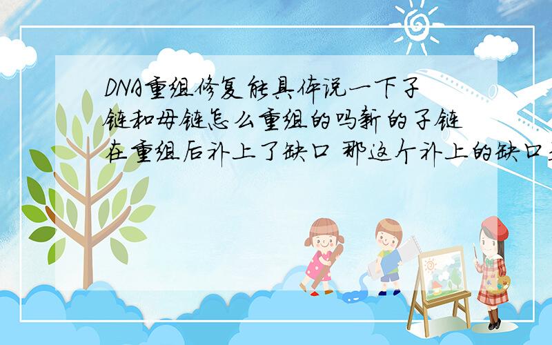 DNA重组修复能具体说一下子链和母链怎么重组的吗新的子链在重组后补上了缺口 那这个补上的缺口是损伤DNA吗?母链出现缺口后在多聚酶的作用下合成核酸片段 这一步是以子链为模板还是什