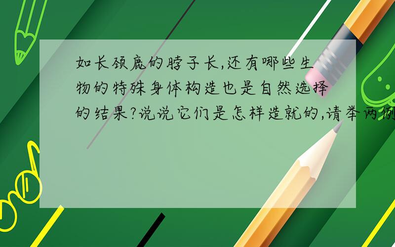 如长颈鹿的脖子长,还有哪些生物的特殊身体构造也是自然选择的结果?说说它们是怎样造就的,请举两例：