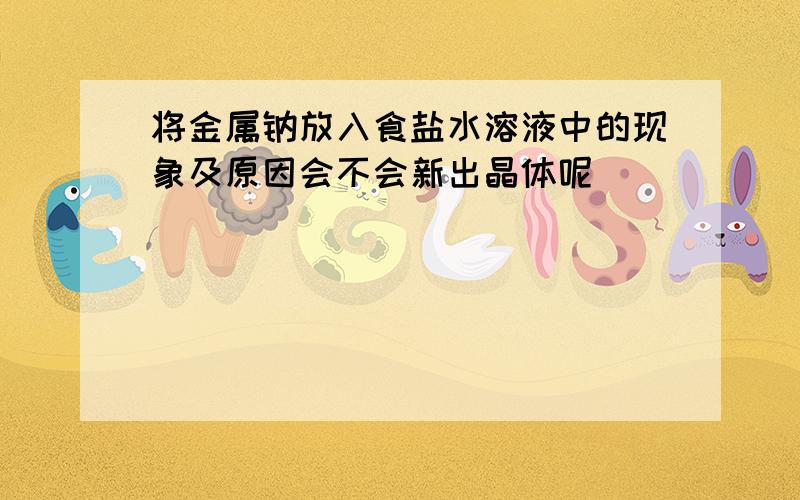 将金属钠放入食盐水溶液中的现象及原因会不会新出晶体呢