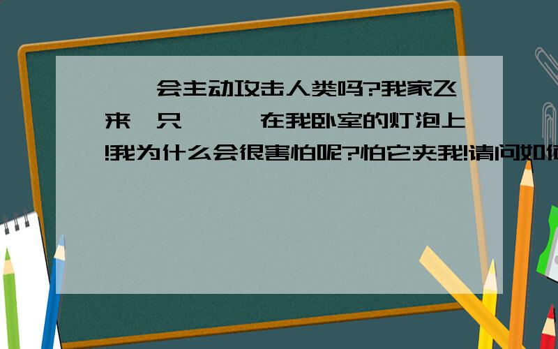 螳螂会主动攻击人类吗?我家飞来一只螳螂、在我卧室的灯泡上!我为什么会很害怕呢?怕它夹我!请问如何杀了它？我很想睡觉又不敢睡！