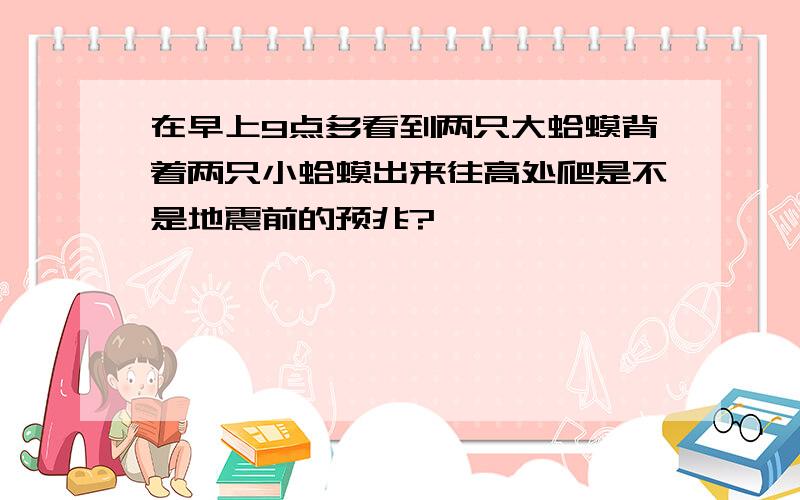 在早上9点多看到两只大蛤蟆背着两只小蛤蟆出来往高处爬是不是地震前的预兆?