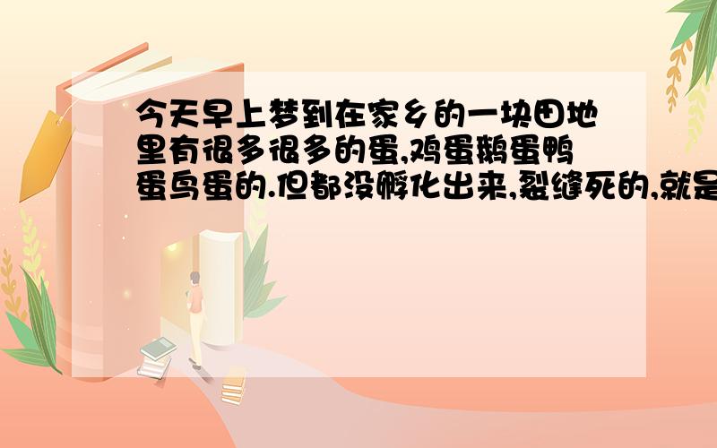 今天早上梦到在家乡的一块田地里有很多很多的蛋,鸡蛋鹅蛋鸭蛋鸟蛋的.但都没孵化出来,裂缝死的,就是毛蛋的那种,就有一个蛋我敲了一下,蛋裂缝了出来了一个黄色的小鸟还是小鸡,我没捡走