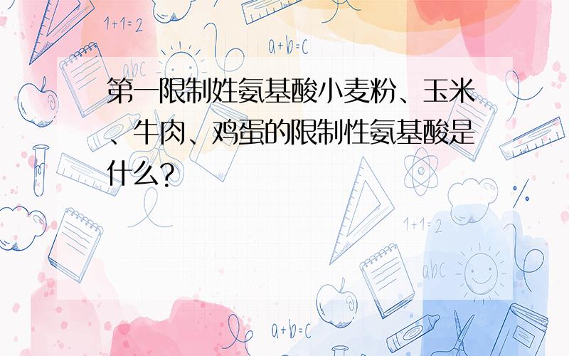 第一限制姓氨基酸小麦粉、玉米、牛肉、鸡蛋的限制性氨基酸是什么?