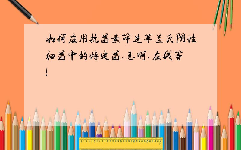 如何应用抗菌素筛选革兰氏阴性细菌中的特定菌,急啊,在线等!