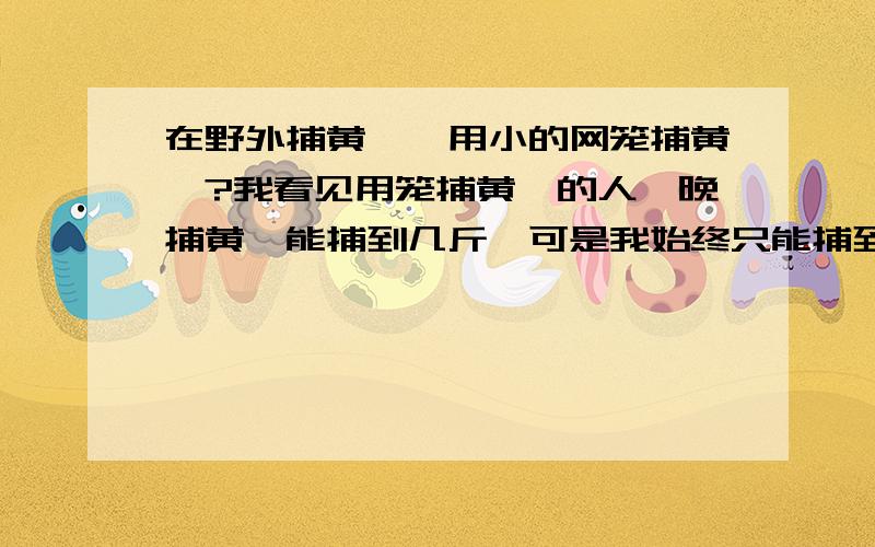 在野外捕黄鳝,用小的网笼捕黄鳝?我看见用笼捕黄鳝的人一晚捕黄鳝能捕到几斤,可是我始终只能捕到几条!据他们说有药!由于本人自身残疾想改变下自己的生活为父母减少点负担!