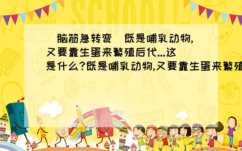 [脑筋急转弯]既是哺乳动物,又要靠生蛋来繁殖后代...这是什么?既是哺乳动物,又要靠生蛋来繁殖后代...脑筋急转弯!