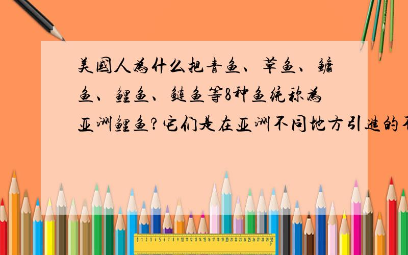 美国人为什么把青鱼、草鱼、鳙鱼、鲤鱼、鲢鱼等8种鱼统称为亚洲鲤鱼?它们是在亚洲不同地方引进的不同种类鱼吧 那这几种鱼中有哪些种类在美国数量泛滥的最严重 一见到有船就成群疯狂