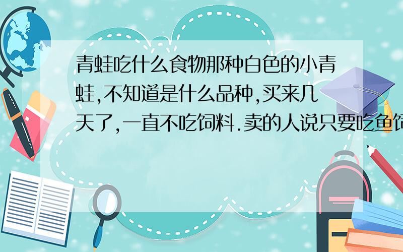 青蛙吃什么食物那种白色的小青蛙,不知道是什么品种,买来几天了,一直不吃饲料.卖的人说只要吃鱼饲料就好,现在不吃怎么破