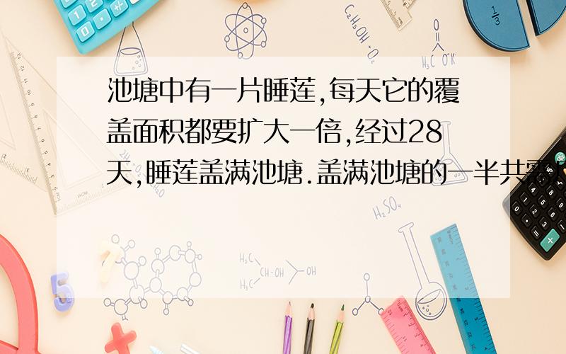 池塘中有一片睡莲,每天它的覆盖面积都要扩大一倍,经过28天,睡莲盖满池塘.盖满池塘的一半共需几天?