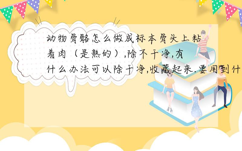 动物骨骼怎么做成标本骨头上粘着肉（是熟的）,除不干净,有什么办法可以除干净,收藏起来.要用到什么药水浸泡么?还有用牙膏刷,晒太阳有什么用么曰.这个问题我已经问过一次,居然被人检