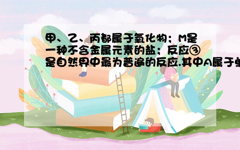 甲、乙、丙都属于氧化物；M是一种不含金属元素的盐；反应③是自然界中最为普遍的反应.其中A属于单质．我需要这里所有物质的名称!最好说一下是怎么推出来的