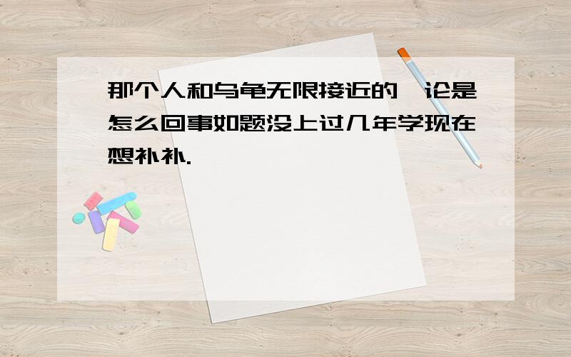 那个人和乌龟无限接近的悖论是怎么回事如题没上过几年学现在想补补.