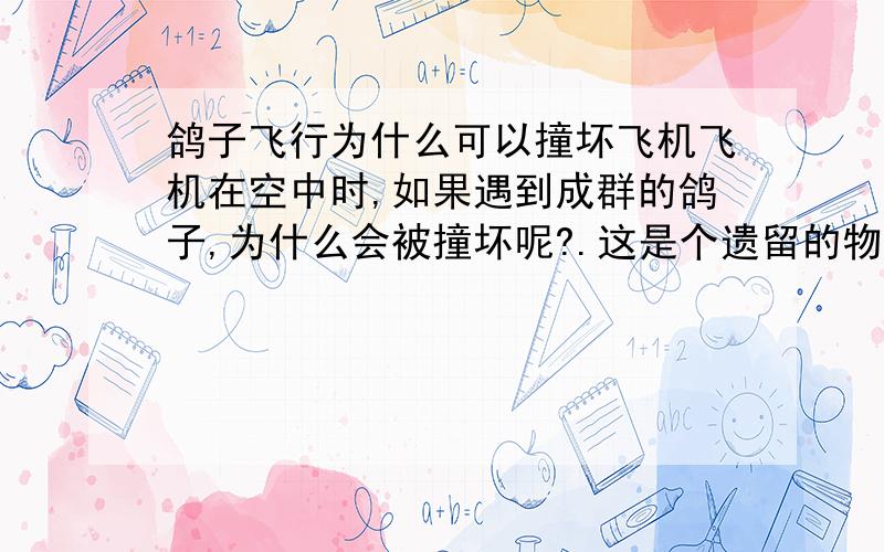 鸽子飞行为什么可以撞坏飞机飞机在空中时,如果遇到成群的鸽子,为什么会被撞坏呢?.这是个遗留的物理题啊.