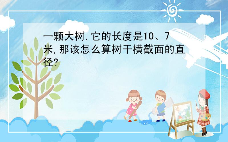 一颗大树,它的长度是10、7米,那该怎么算树干横截面的直径?