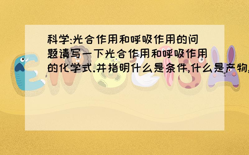 科学:光合作用和呼吸作用的问题请写一下光合作用和呼吸作用的化学式.并指明什么是条件,什么是产物,什么是原料.科学马上会考,诸位帮忙出点①光合作用和呼吸作用的例题.②人体的血液循