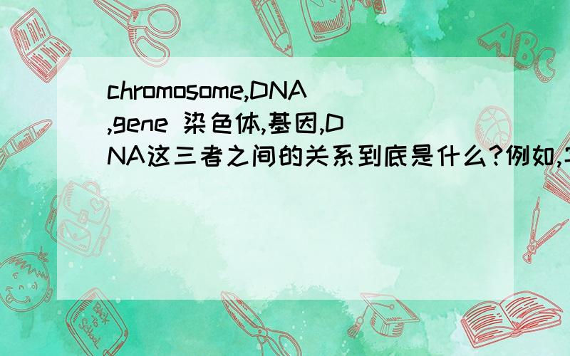 chromosome,DNA,gene 染色体,基因,DNA这三者之间的关系到底是什么?例如,字母,词,和句子.词包含字母,句子又包含词.以这个为例子的话,那这三者究竟是怎么排列的?
